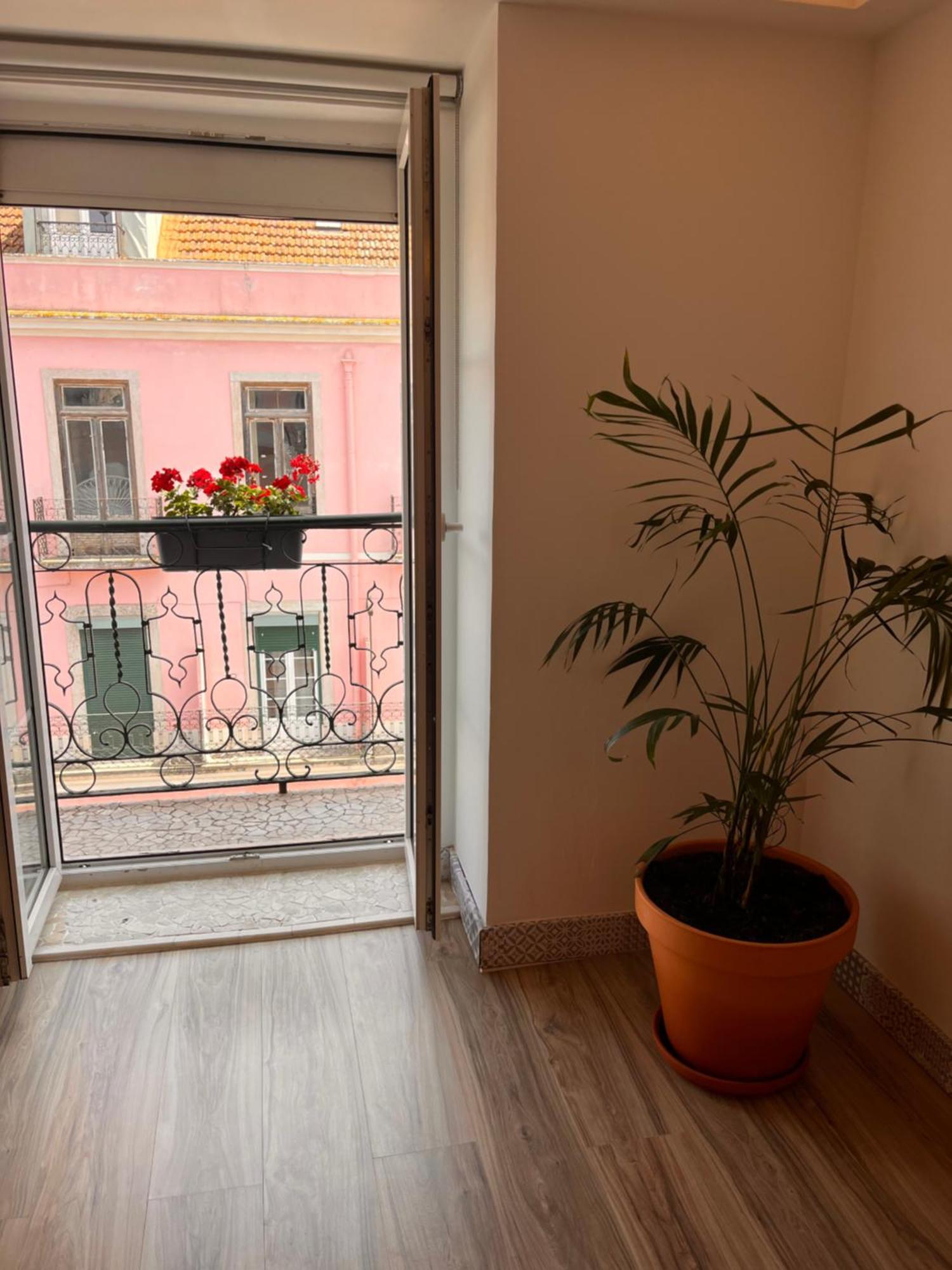 Appartement Botanical Gardens Principe Real